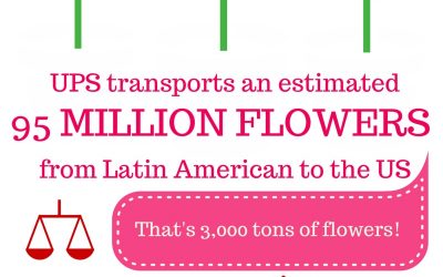 The Valentine’s Day Supply Chain [Infographic]