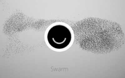 What businesses can learn from Ello